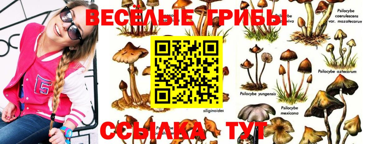 Гашиш  Меф МЯУ МЯУ кристаллы  Вход с VPN  Альфа ПВП СК кристаллы  ТГК  Codein  Каннабис  Можайск  Как найти закладки? 