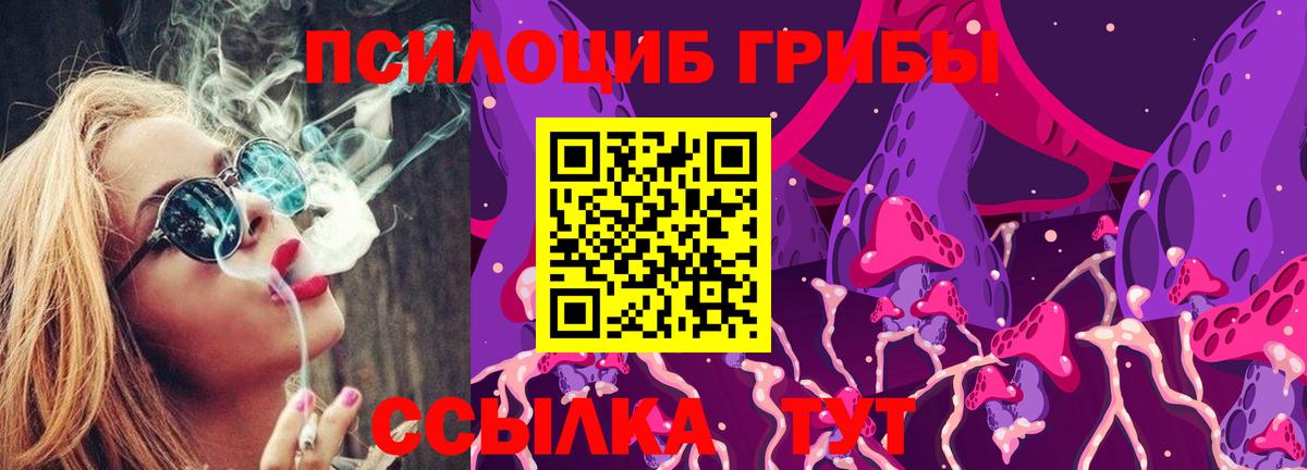 Псилоцибиновые грибы Psilocybine cubensis Можайск