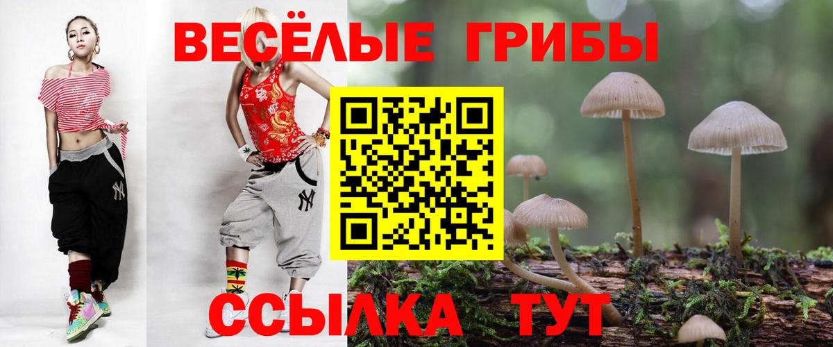 где купить наркоту  Псилоцибиновые грибы Psilocybine cubensis  Вход с VPN  Можайск 